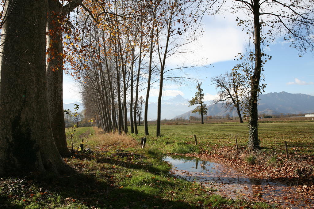 Agriturismo La Virginia Villa Revello Luaran gambar